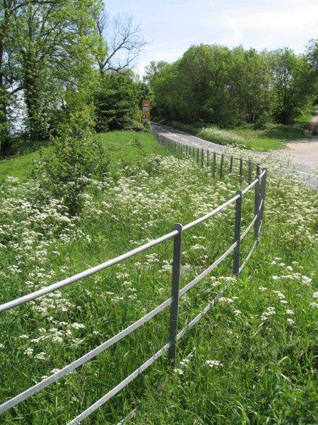 Traditional Estate Fencing
