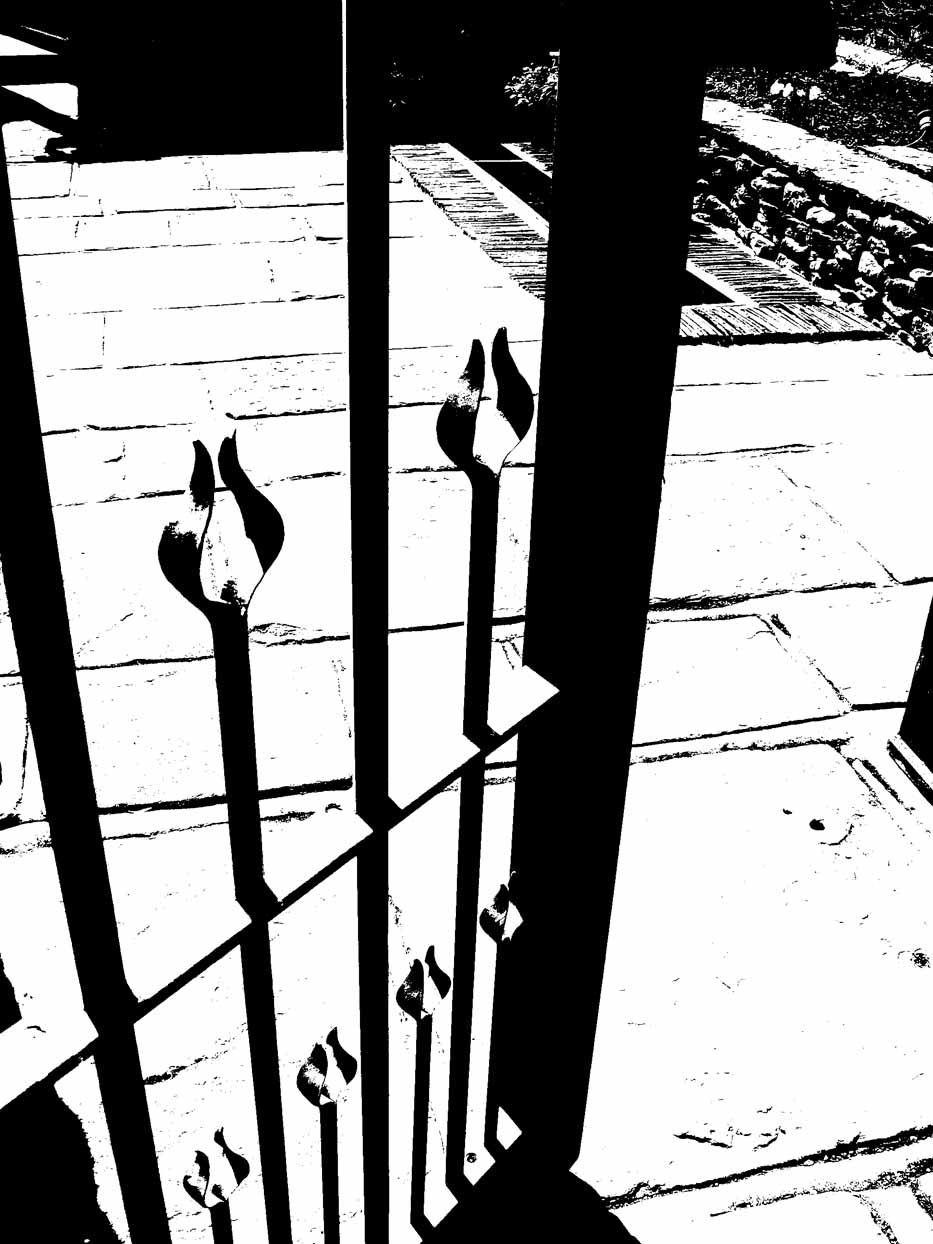 Tulip Gate Detail